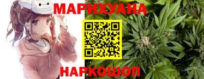 амф Заволжье