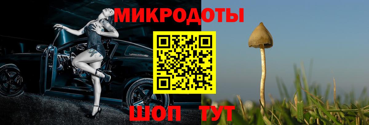 Галлюциногенные грибы мухоморы  Галлюциногенные грибы Magic Shrooms  где купить   Истра  Вход с VPN 